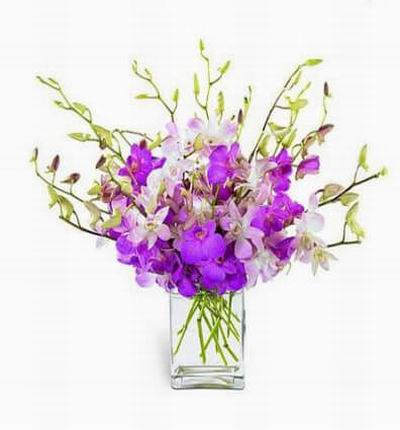 This bouquet of fifteen stems of exotic mistine and fuchsia Dendrobium orchids in a rectangular glass vase.