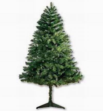 150 cm Real Xmas Tree