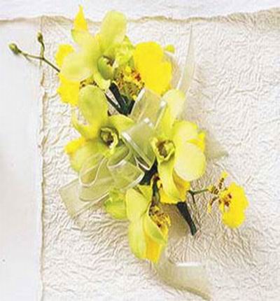 Orchids(yellow)