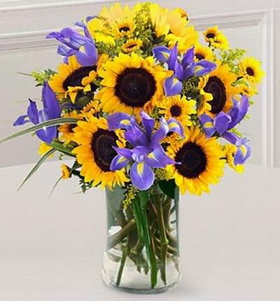 5 Sunflowers, 12 small Sunflowers and 5 Iris.