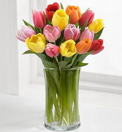 A assorted mix of 15 tulips..